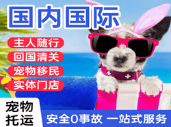 大同云冈航空托运国际宠物托运 【国
